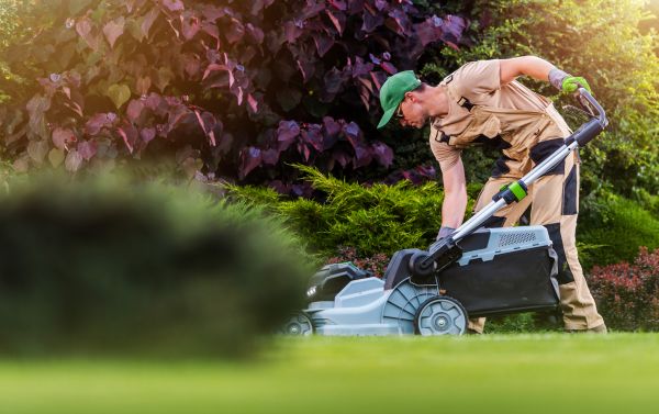 Cost of Lawn Care And Maintenance in Lafayette