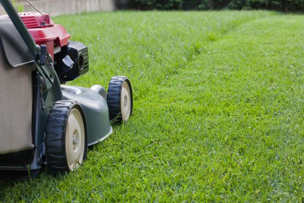 Cost of Lawn Care Service in Lafayette
