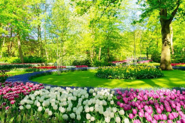 Cost of Spring Lawn Care in Lafayette
