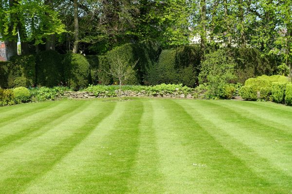 Cost of Grass Care Service in Lafayette