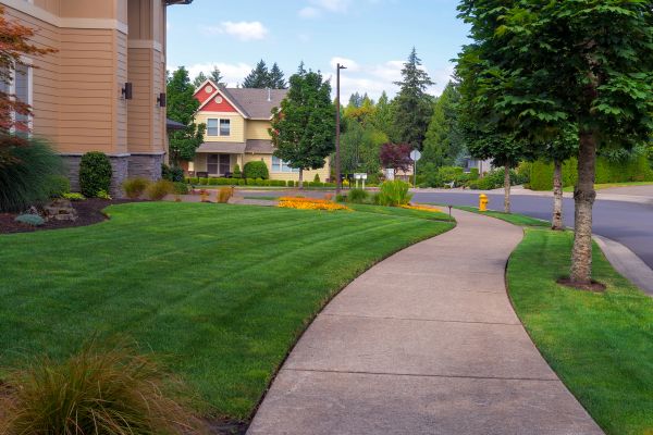 Home Lawn Maintenance in Lafayette