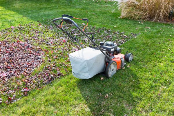 Seasonal Lawn Care in Lafayette