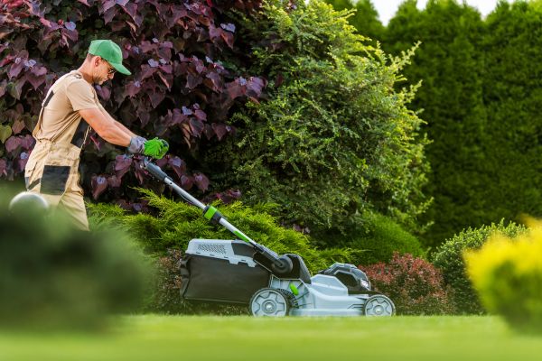 Lawn Management in Lafayette