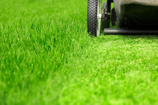 Weekly Lawn Care in Lafayette