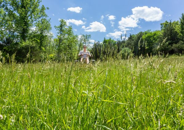 Long Grass Mowing in Lafayette