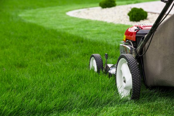 Lawn Trimming in Lafayette