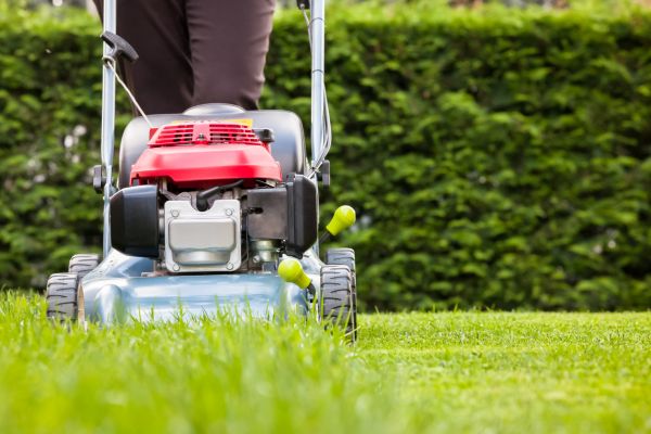 Cost of Grass Trimming Service in Lafayette