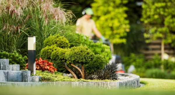 Residential Yard Maintenance in Lafayette