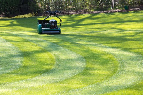 Business Lawn Mowing in Lafayette