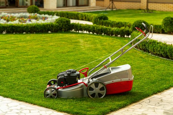 Business Grass Cutting in Lafayette