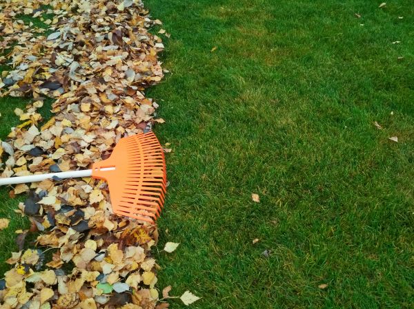 Fall Lawn Care in Lafayette