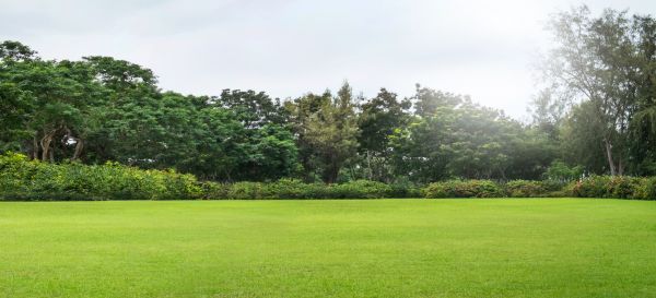 Golf Course Mowing in Lafayette