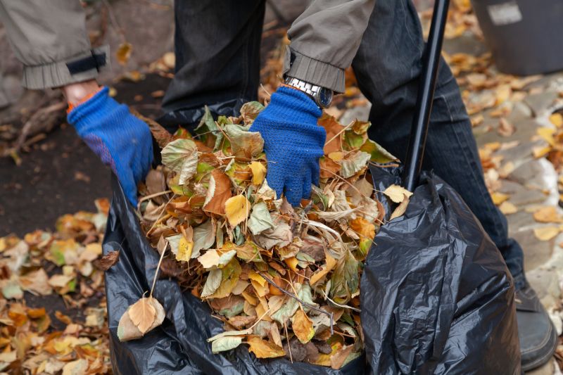 Leaves Being Bagged